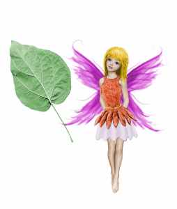 catalpa-fairy-with-leaf-color_sm