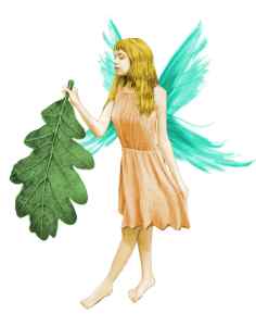 fairy-with-leaf-color_sm