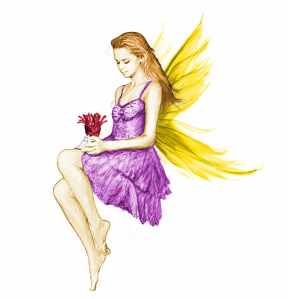 silver-maple-fairy-w-flower_color_sm